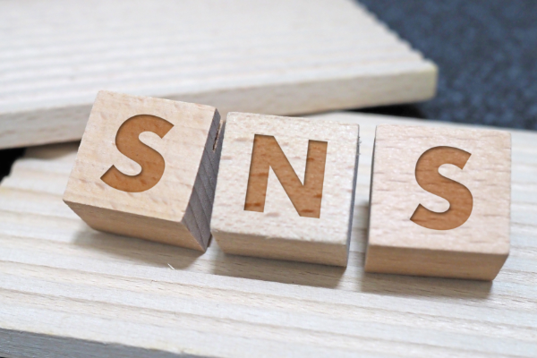 木のブロック３つにアルファベットでSNSとローマ字がついている