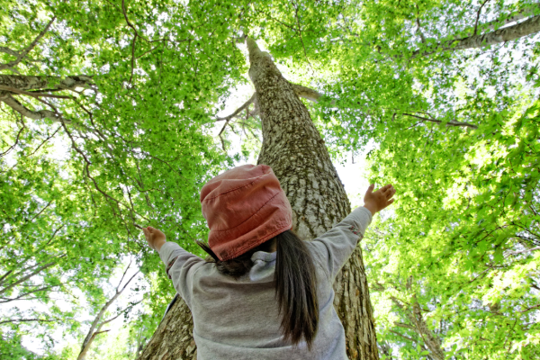 森の中で、木の幹を正面にして、天を仰ぎ両手を広げる子どもの後ろ姿